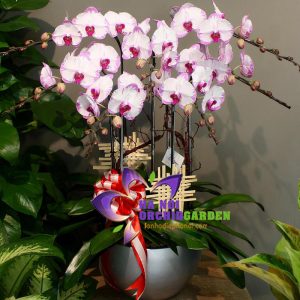 Tặng khách Nhật HDH-0714